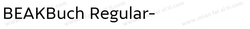 BEAKBuch Regular字体转换